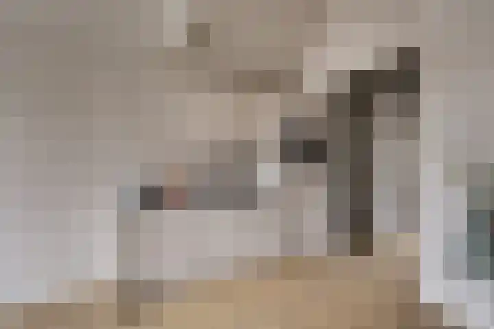 Janvossensteeg 45 B Leiden thumbnail 8