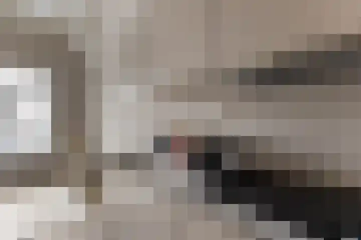 Janvossensteeg 45 B Leiden thumbnail 9