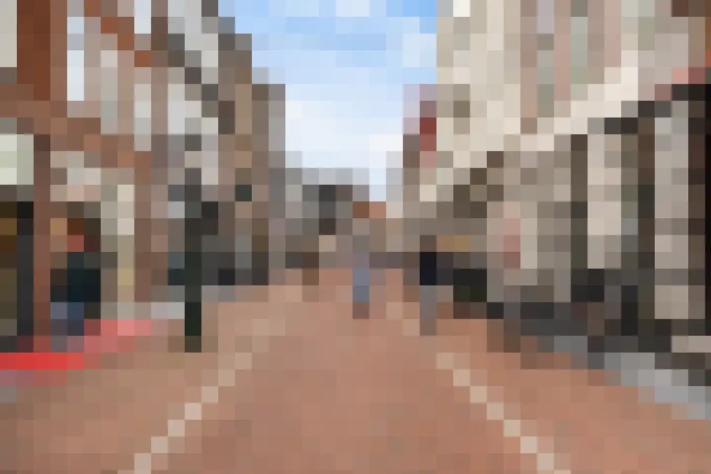 Janvossensteeg 50 Leiden thumbnail 23