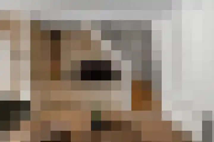 Janzenstraat 12 Den Helder thumbnail 6