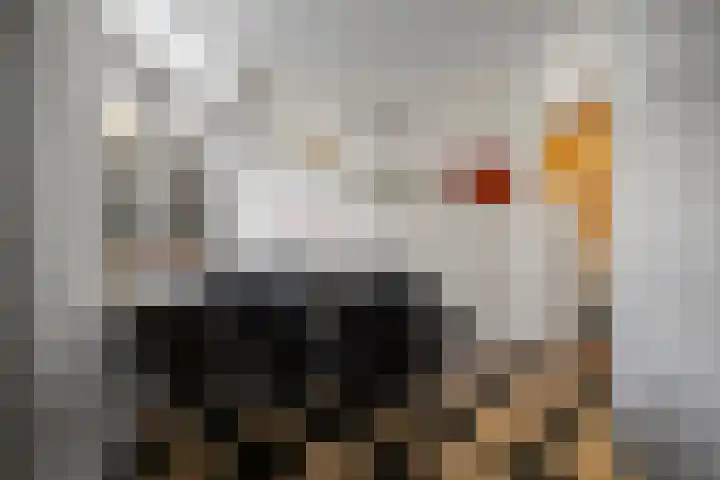Janzenstraat 12 Den Helder thumbnail 7