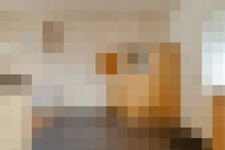 Janzenstraat 24 Den Helder thumbnail 13