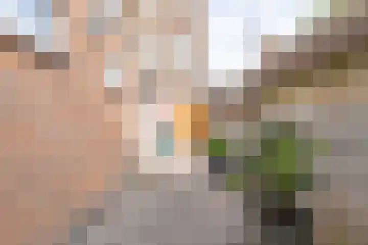 Janzenstraat 24 Den Helder thumbnail 20