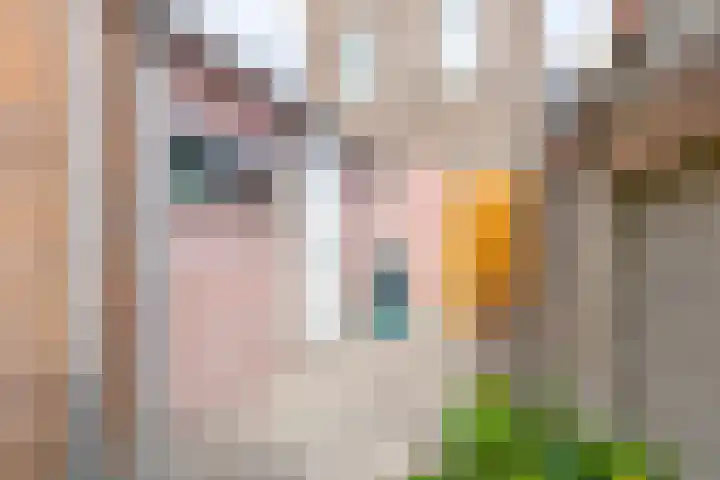 Janzenstraat 24 Den Helder thumbnail 21