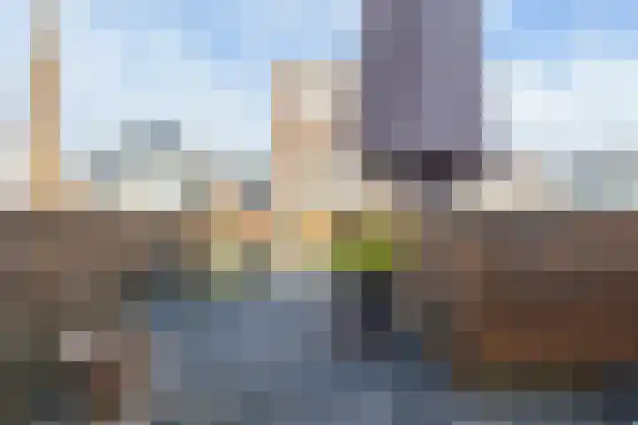 Janzenstraat 24 Den Helder thumbnail 30