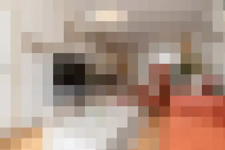 Janzenstraat 24 Den Helder thumbnail 8