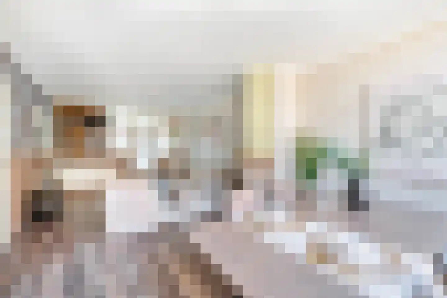 Janzenstraat 57 Den Helder thumbnail 7