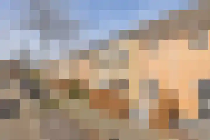 Japanstraat 37 in Alphen aan den Rijn