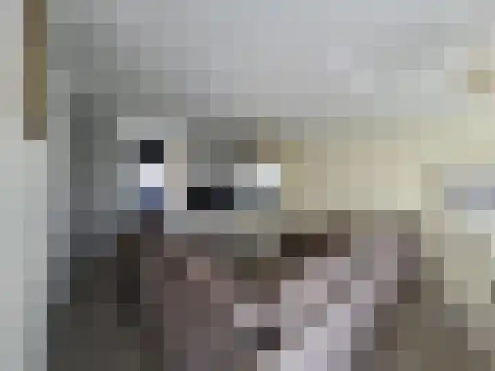 Japarastraat 13 Rotterdam thumbnail 6