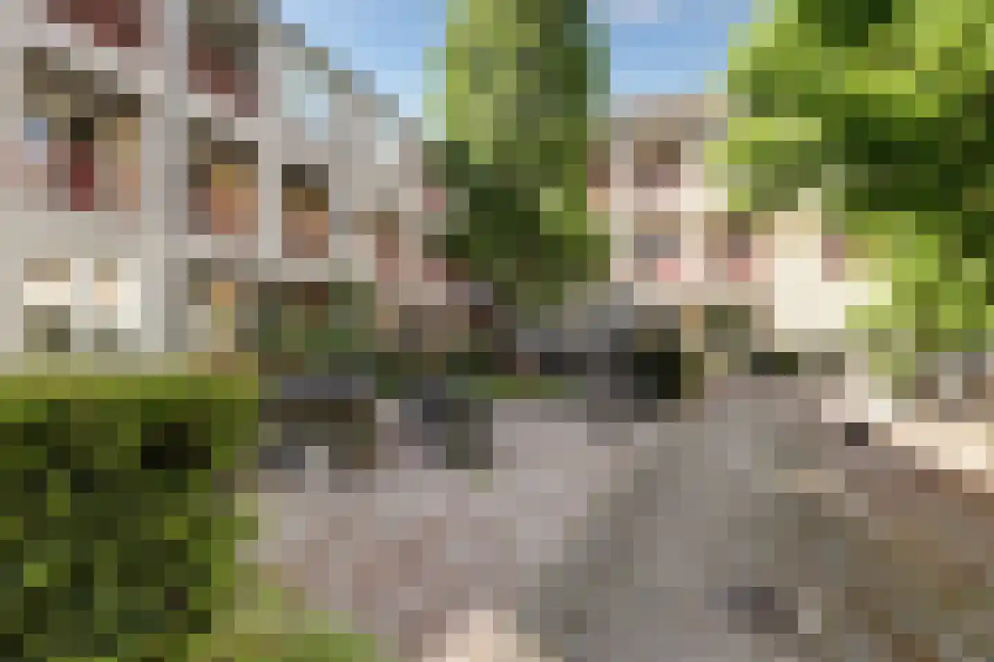Japieserf 11 in Gouda