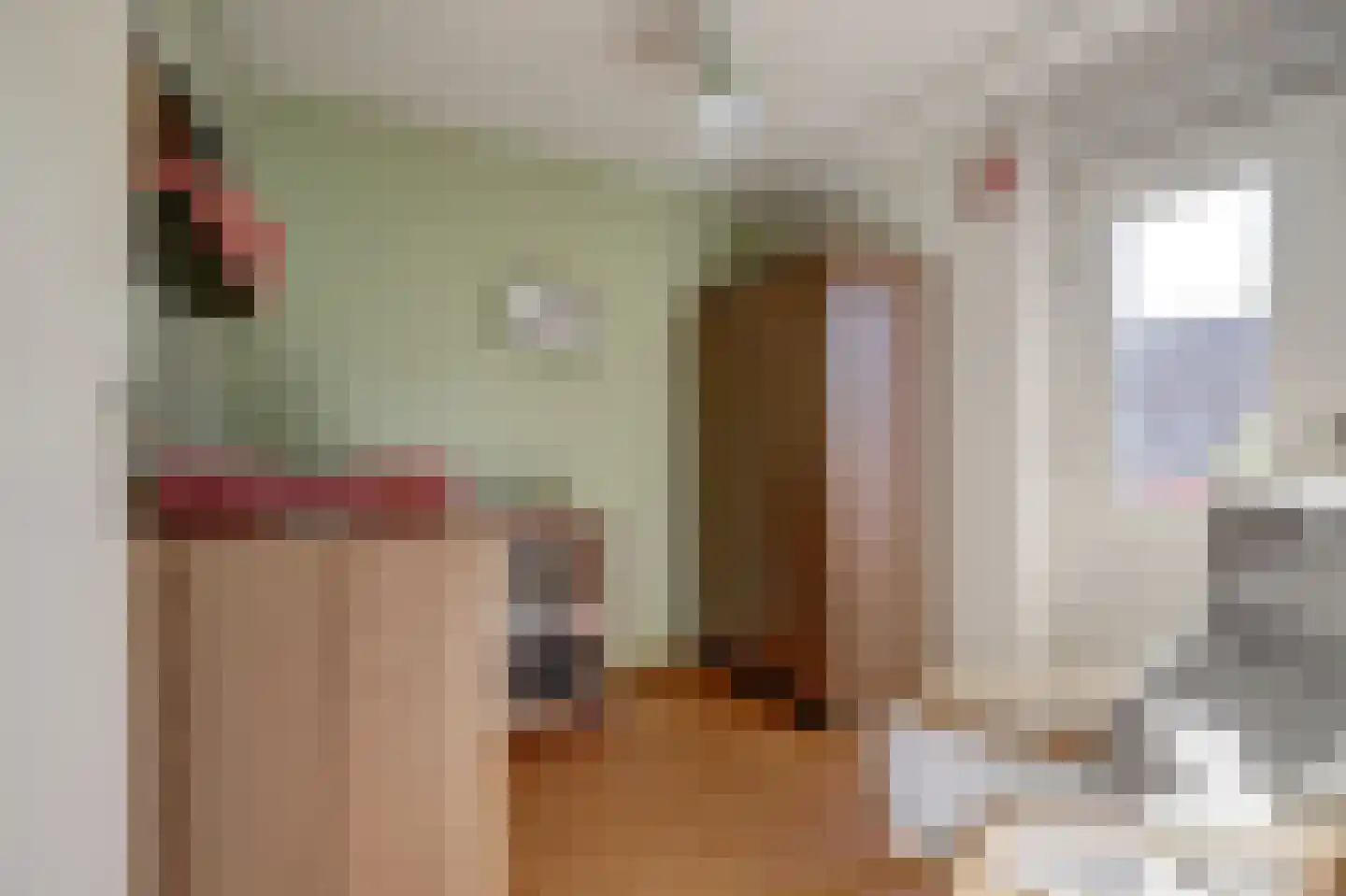 Japieserf 11 Gouda thumbnail 13