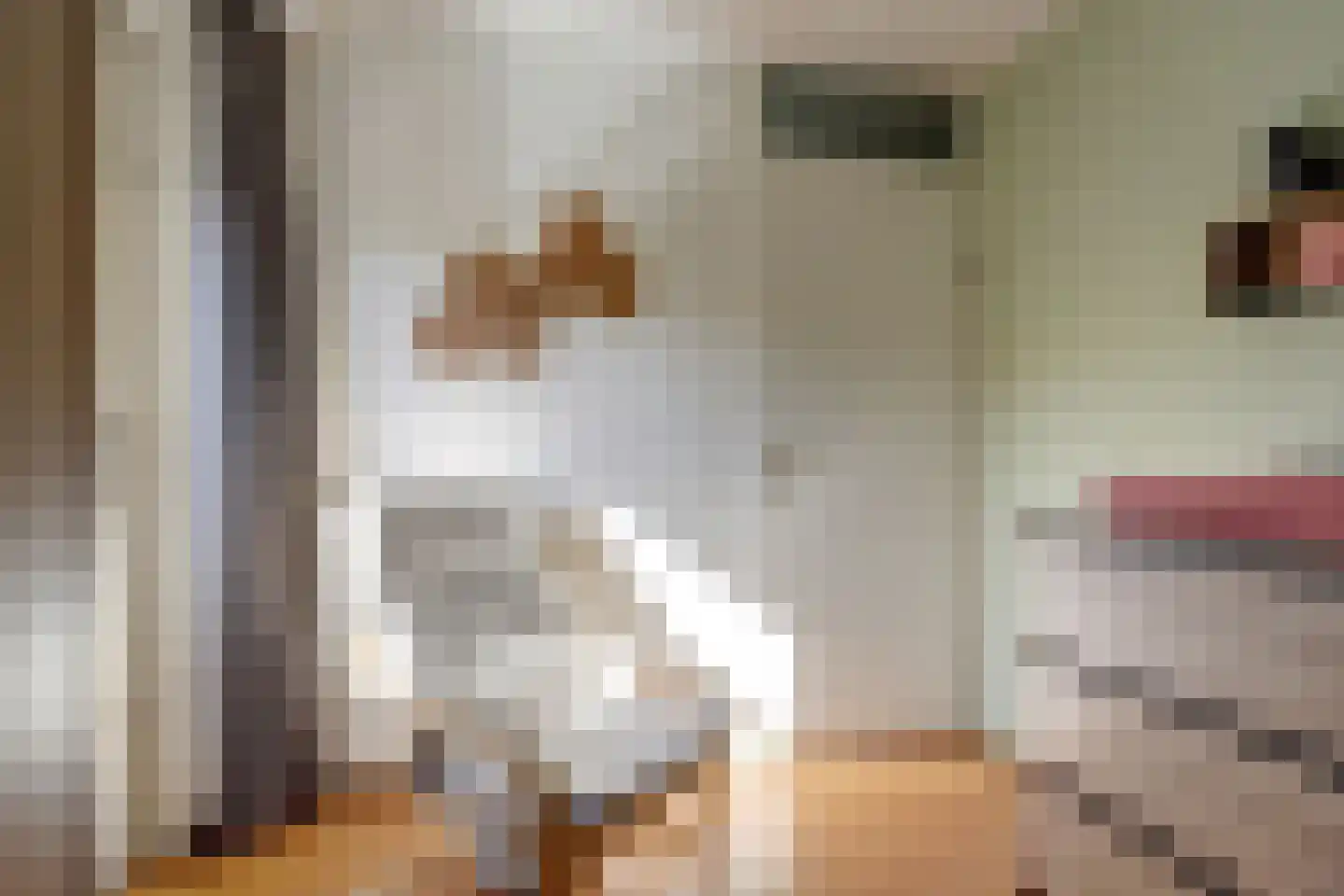 Japieserf 11 Gouda thumbnail 14