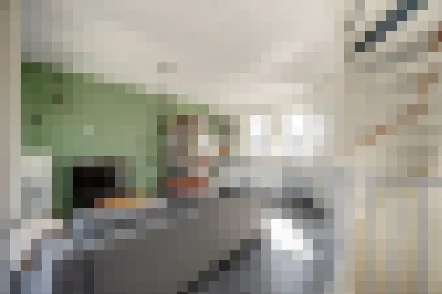 Japieserf 11 Gouda thumbnail 17