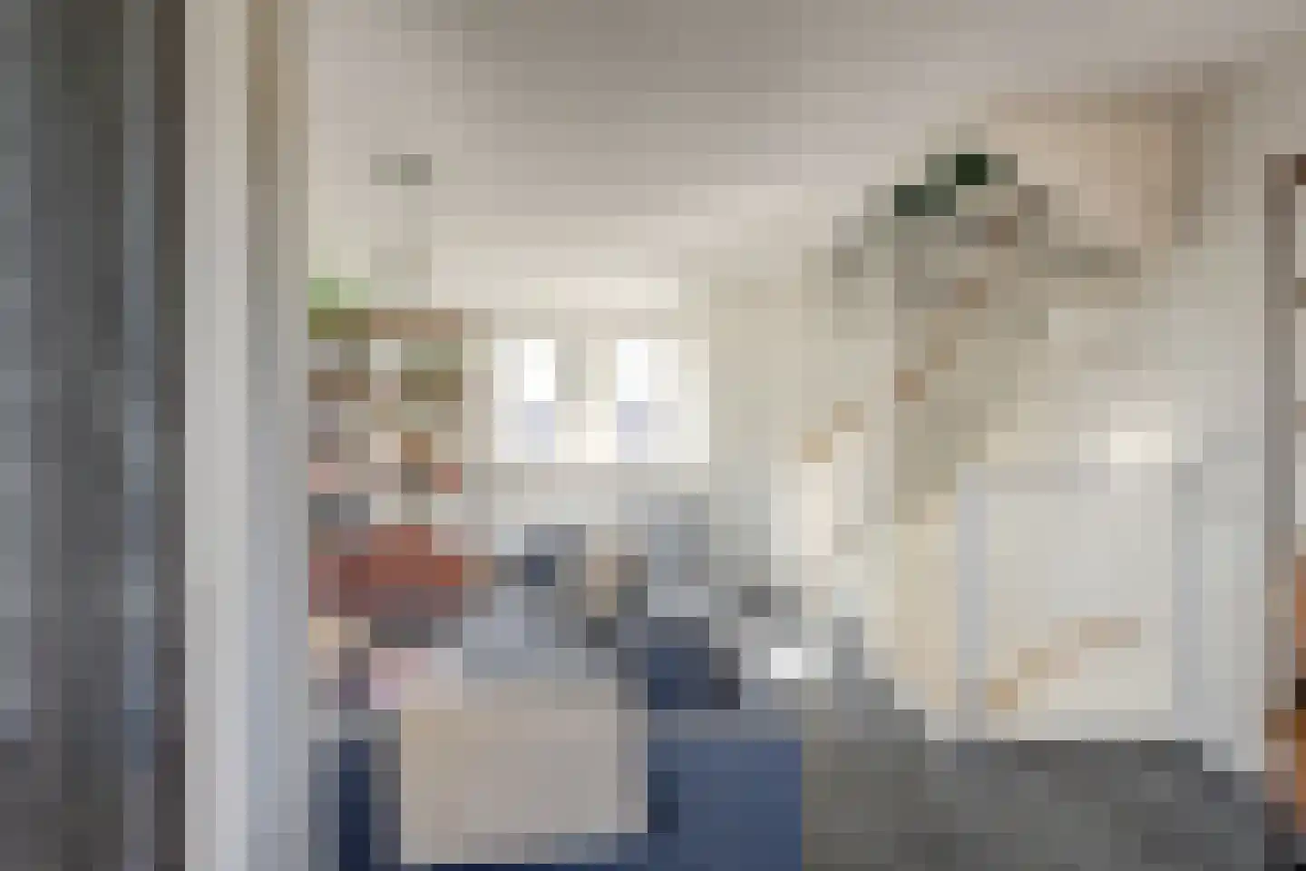Japieserf 11 Gouda thumbnail 18