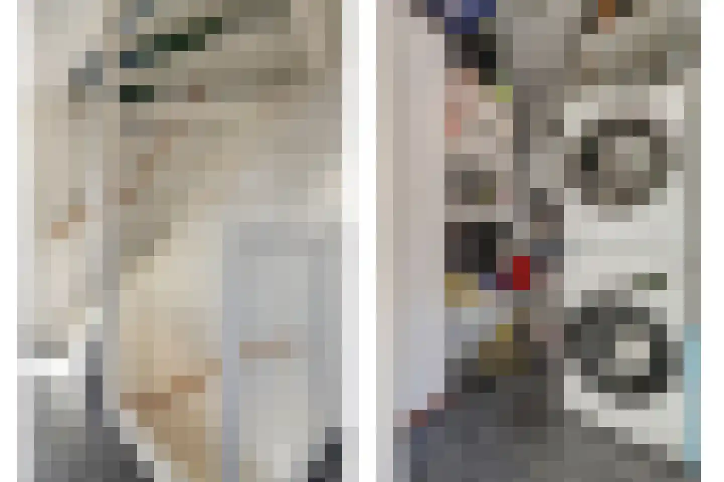 Japieserf 11 Gouda thumbnail 27