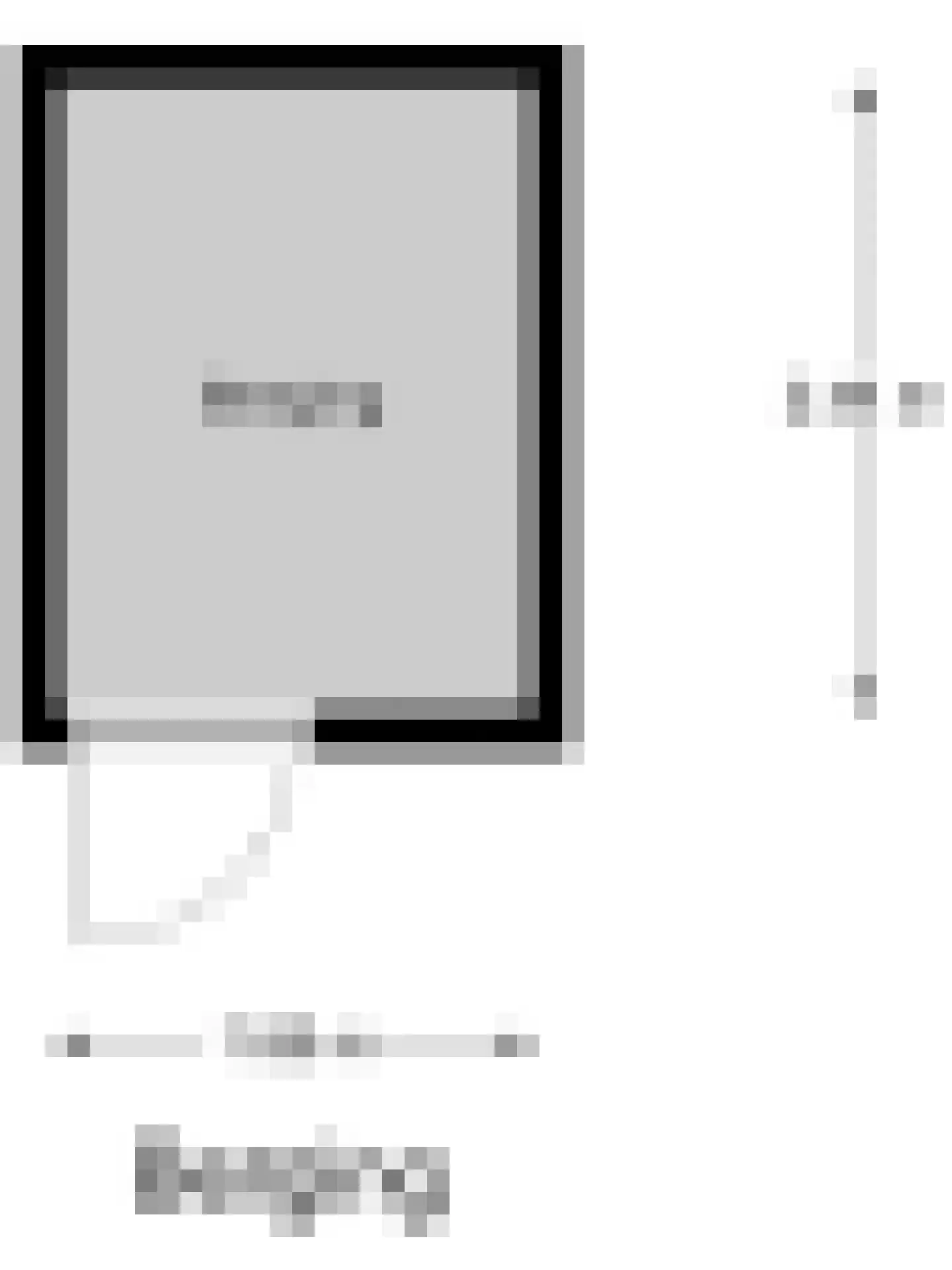Japieserf 11 Gouda thumbnail 43