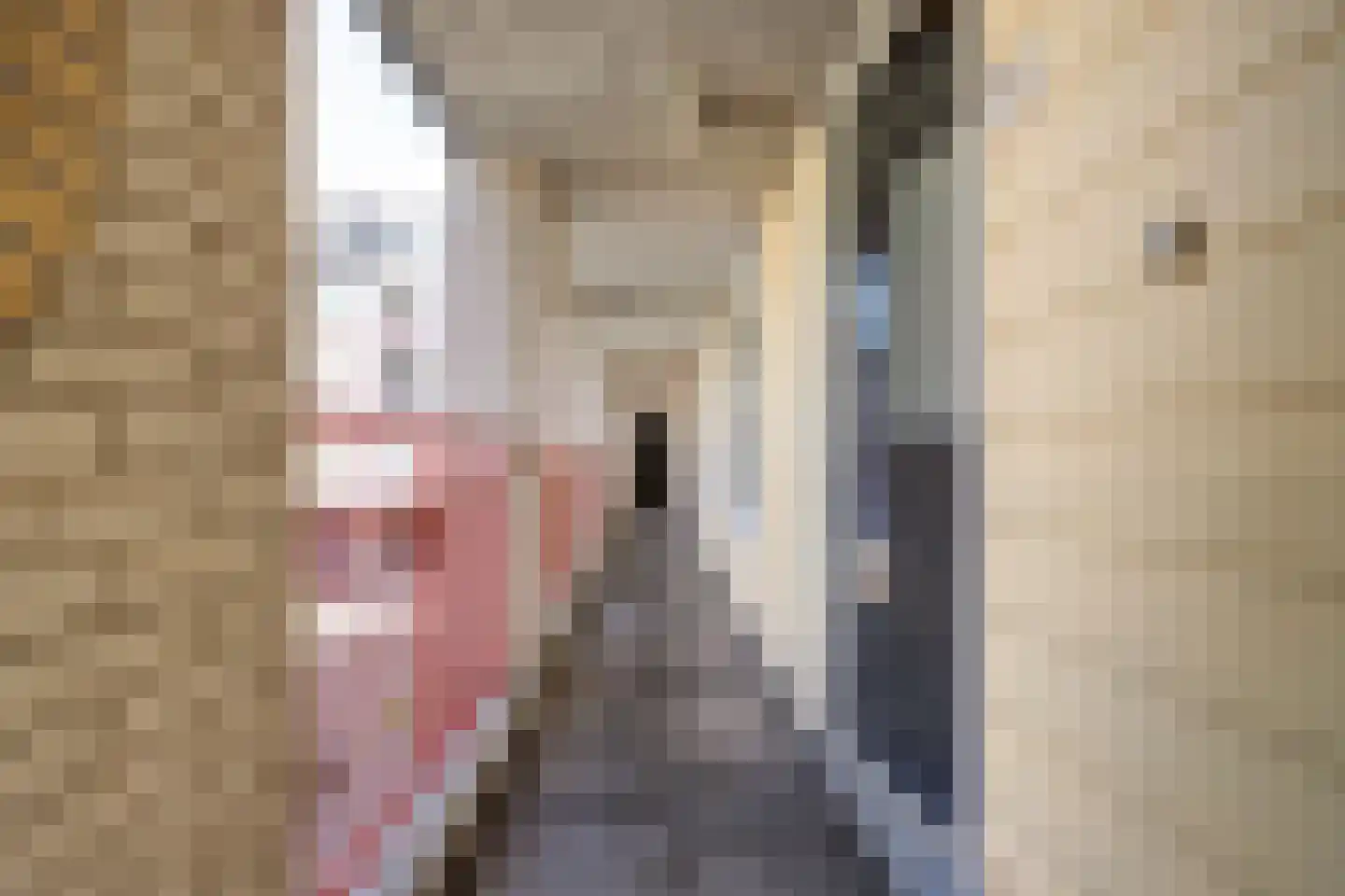 Japieserf 11 Gouda thumbnail 9