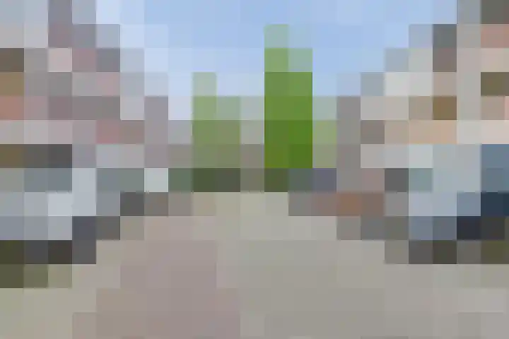 Japieserf 16 in Gouda