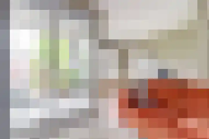 Japieserf 16 Gouda thumbnail 10