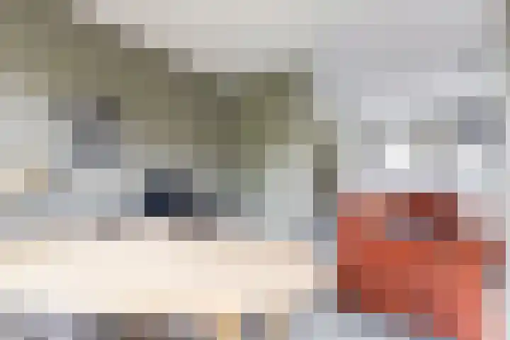 Japieserf 16 Gouda thumbnail 17