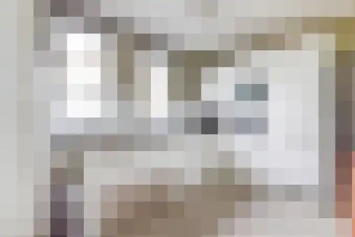 Japieserf 16 Gouda thumbnail 19