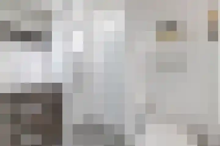 Japieserf 16 Gouda thumbnail 26