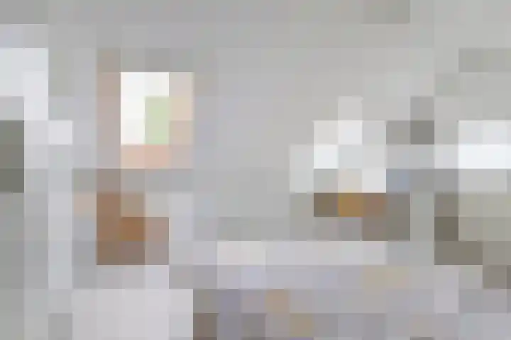 Japieserf 16 Gouda thumbnail 31