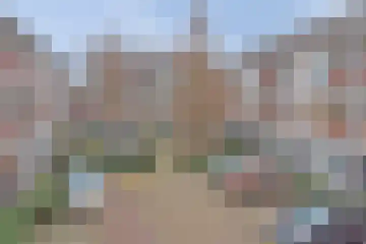Japieserf 16 Gouda thumbnail 34
