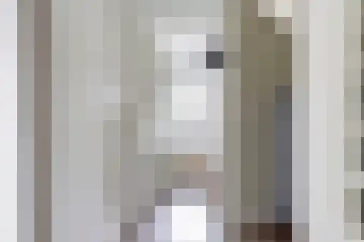 Japieserf 16 Gouda thumbnail 6