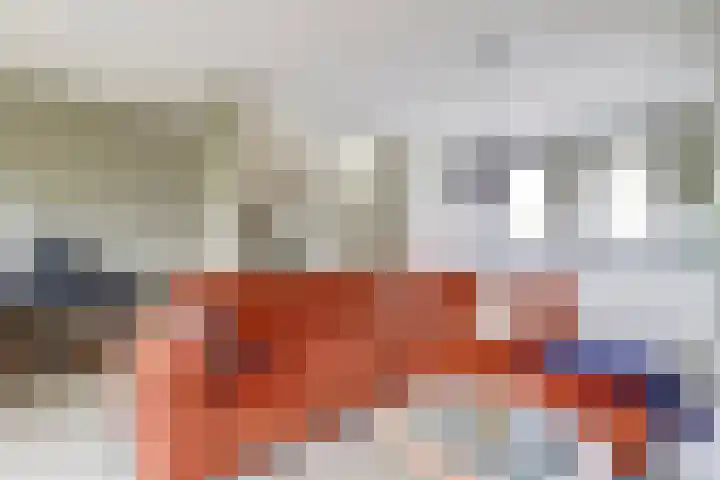 Japieserf 16 Gouda thumbnail 9