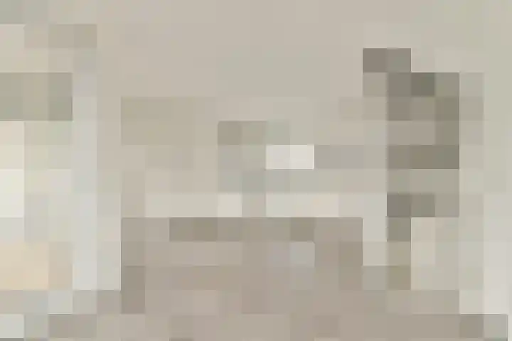 Japieserf 24 Gouda thumbnail 10