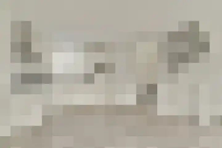 Japieserf 24 Gouda thumbnail 11
