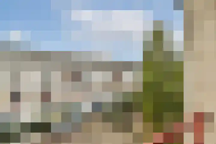 Japieserf 24 Gouda thumbnail 14
