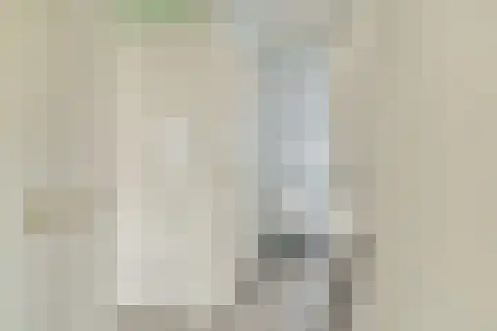 Japieserf 24 Gouda thumbnail 15