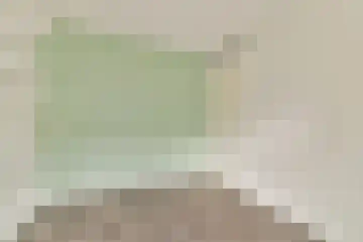 Japieserf 24 Gouda thumbnail 17