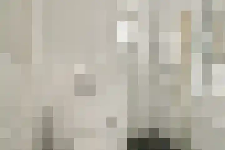 Japieserf 24 Gouda thumbnail 18