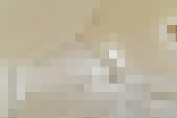 Japieserf 24 Gouda thumbnail 22