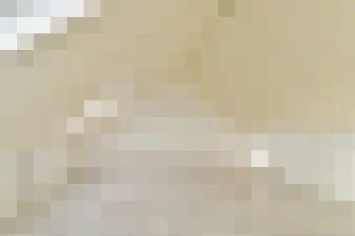 Japieserf 24 Gouda thumbnail 23