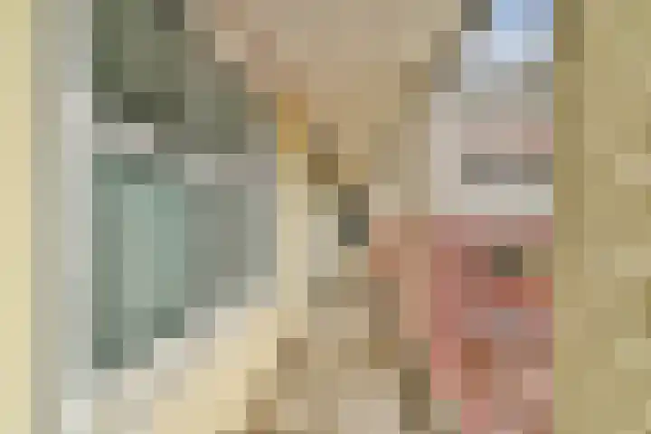 Japieserf 24 Gouda thumbnail 26