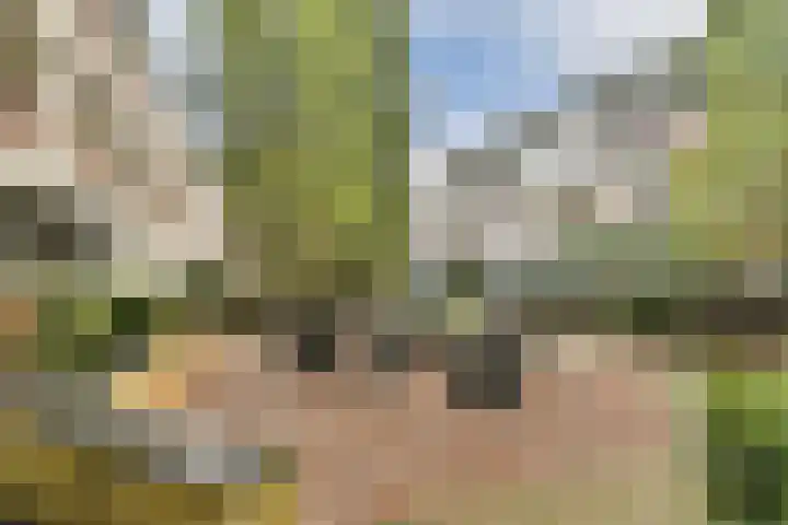 Japieserf 24 Gouda thumbnail 27