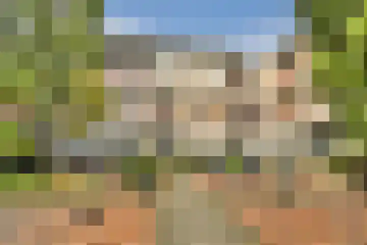 Japieserf 24 Gouda thumbnail 29