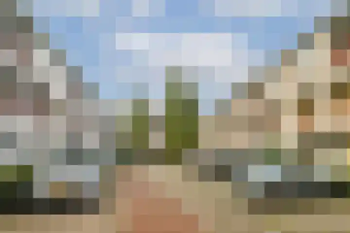 Japieserf 24 Gouda thumbnail 30