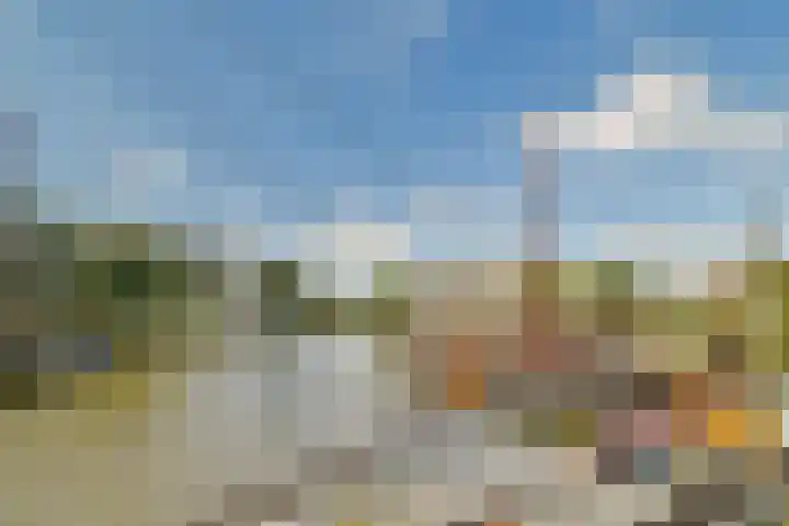 Japieserf 24 Gouda thumbnail 32
