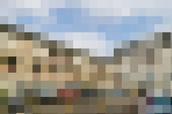 Japieserf 24 Gouda thumbnail 5