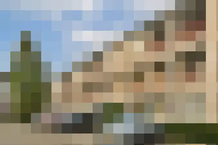 Japieserf 24 Gouda thumbnail 6