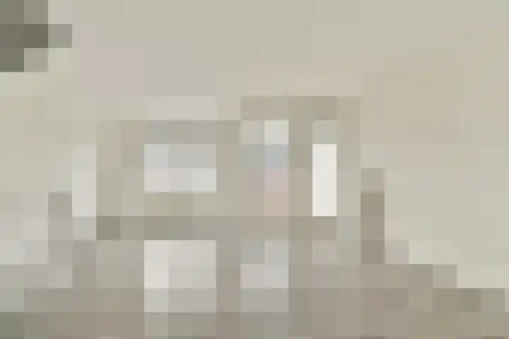 Japieserf 24 Gouda thumbnail 7