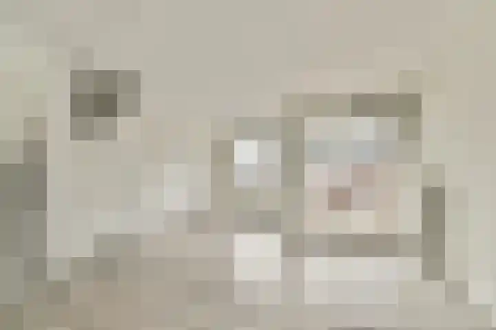 Japieserf 24 Gouda thumbnail 8