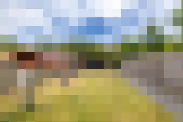 Jardensweg 30 Zuidlaren thumbnail 13