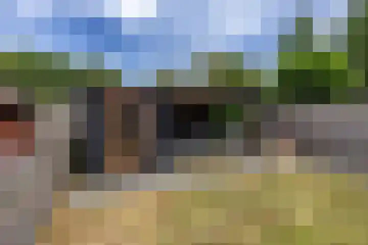 Jardensweg 30 Zuidlaren thumbnail 14