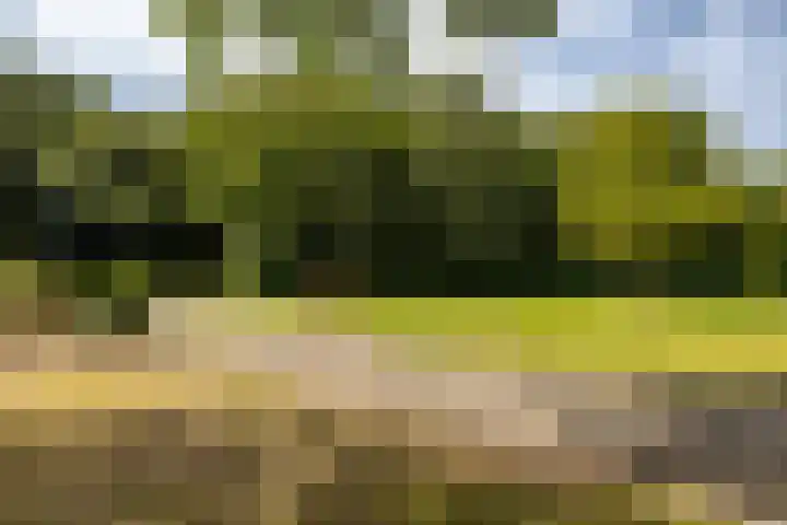 Jardensweg 30 Zuidlaren thumbnail 4